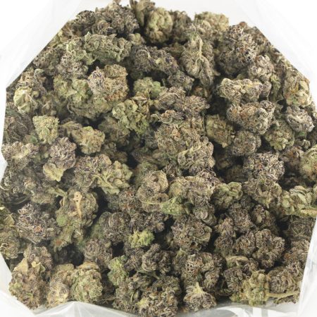 Buy Black Truffle Strain (Popcorn) Online Green Society
