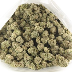 Buy Bread & Butter (Popcorn) Online Green Society