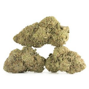 Buy Exodus Cheese Strain Online Green Society