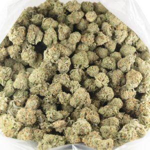 Buy Goudaberry (Popcorn) Online Green Society