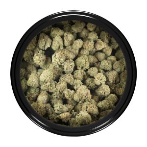 Buy Goudaberry (Popcorn) Online Green Society