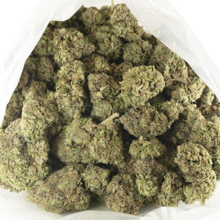 Buy Pink Gas Strain Online Green Society