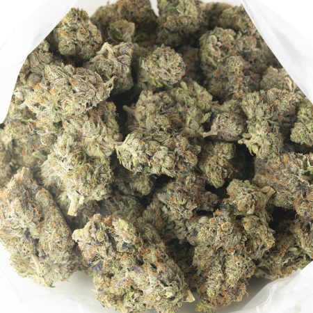 Buy 11 Week Pink Kush (Organic) Online Green Society