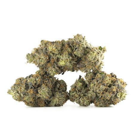 Buy 11 Week Pink Kush (Organic) Online Green Society