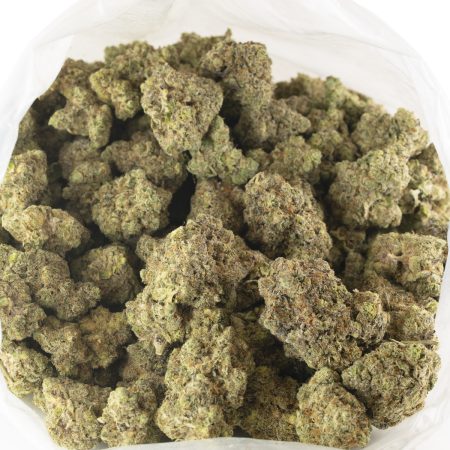 Buy Animal Zookies Strain Online Green Society
