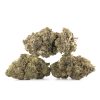 Buy Animal Zookies Strain Online Green Society