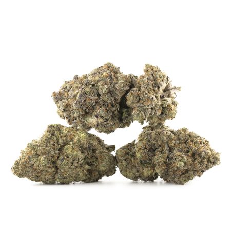 Buy Animal Zookies Strain Online Green Society