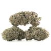 Buy Black Cherry Soda Strain Online Green Society