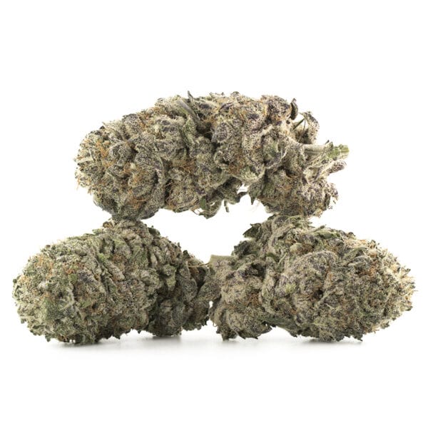 Buy Black Cherry Soda Strain Online Green Society