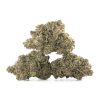 Buy Cherry Bomb Strain Online Green Society