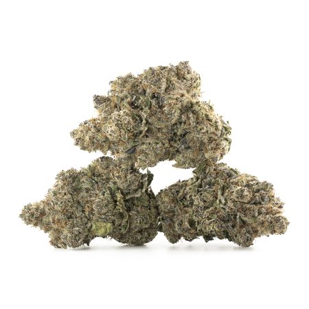 Buy Cherry Bomb Strain Online Green Society