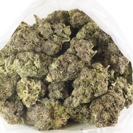 Buy Fatso Strain Online Green Society