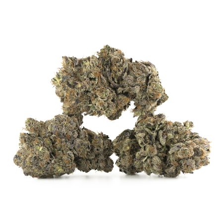 Buy Mike Tyson by Pluto Craft Cannabis (Organic) Online Green Society