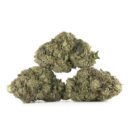 Buy Platinum Pink Strain Online Green Society