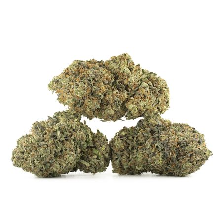 Buy Rockstar Strain Online Green Society