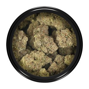 Buy Super Lemon Haze Strain Online Green Society