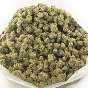 Buy Tuna Kush Strain (Popcorn) Online Green Society