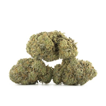 Buy Black Lime Strain Online Green Society