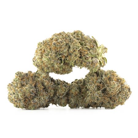 Buy Blackberry Breath (Smalls) Strain Online Green Society