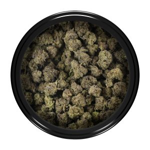 Buy Frosty Gelato (Popcorn) Strain Online Green Society