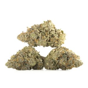 Buy Mandarin Cookies Strain Online Green Society