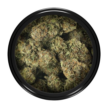 Buy Master Kush Strain Online Green Society