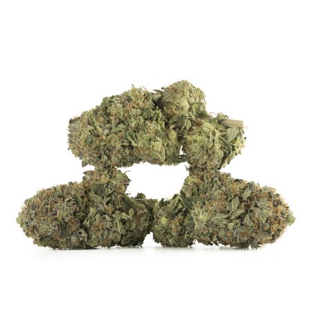 Buy Master Kush Strain Online Green Society