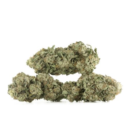 Buy Nebula Strain Online Green Society