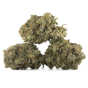 Buy Platinum Bubba Kush Strain Online Green Society