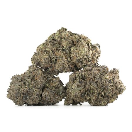 Buy Twisted Citrus Strain Online Green Society