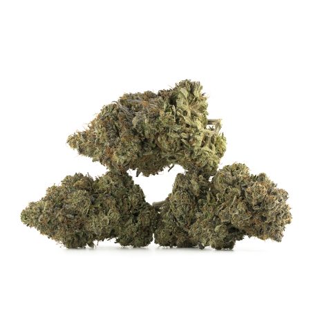 Buy Astro Pink Kush Strain Online Green Society