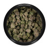 Buy Blueberry Strain Online Green Society