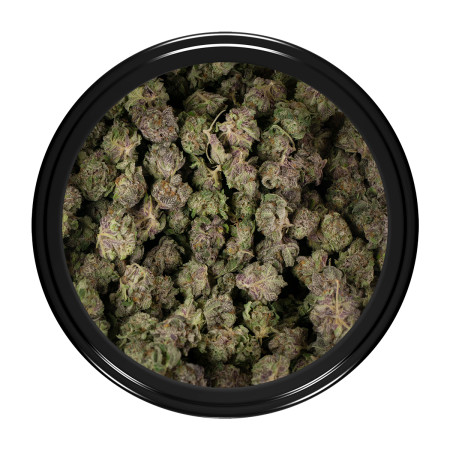 Buy Blueberry Strain Online Green Society