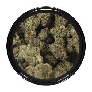 Buy Bruce Banner #3 Strain Online Green Society