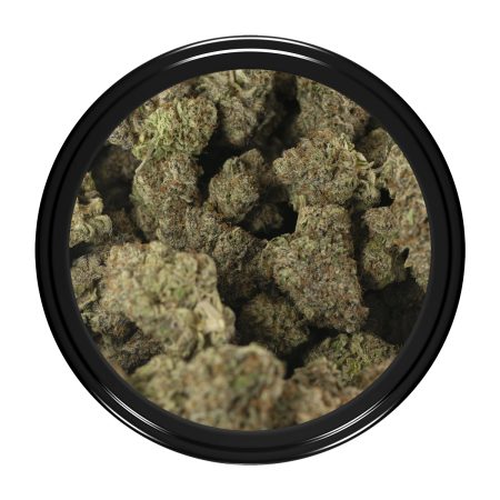 Buy Bruce Banner #3 Strain Online Green Society