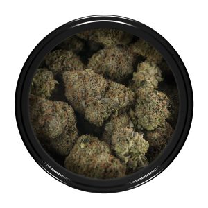 Buy Death Tuna Strain Online Green Society