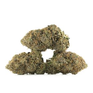 Buy Death Tuna Strain Online Green Society