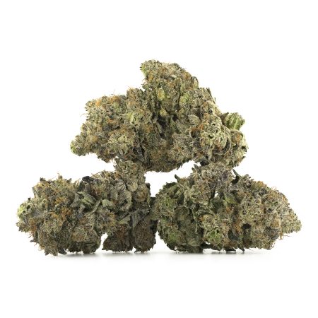 Buy Island Pink Kush Strain Online Green Society