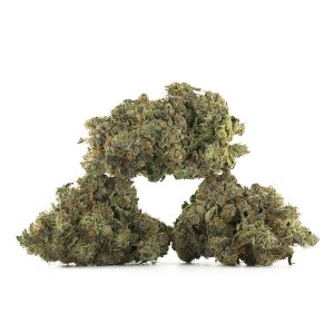 Buy Northern Lights Strain Online Green Society