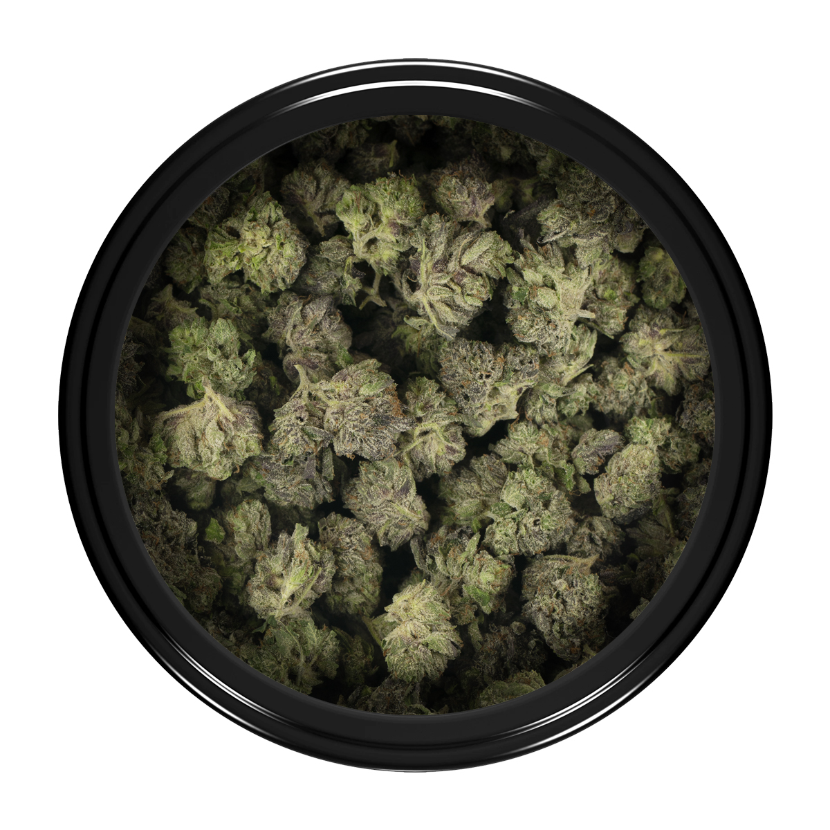 Buy Platinum Pink (Popcorn) Online Green Society