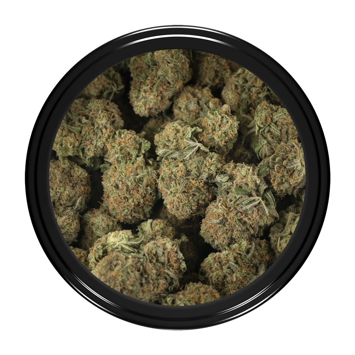Buy Apple Fritter (Smalls) Online Green Society