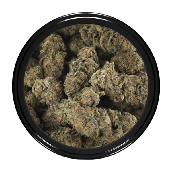 Buy Black Lightning Strain Online Green Society