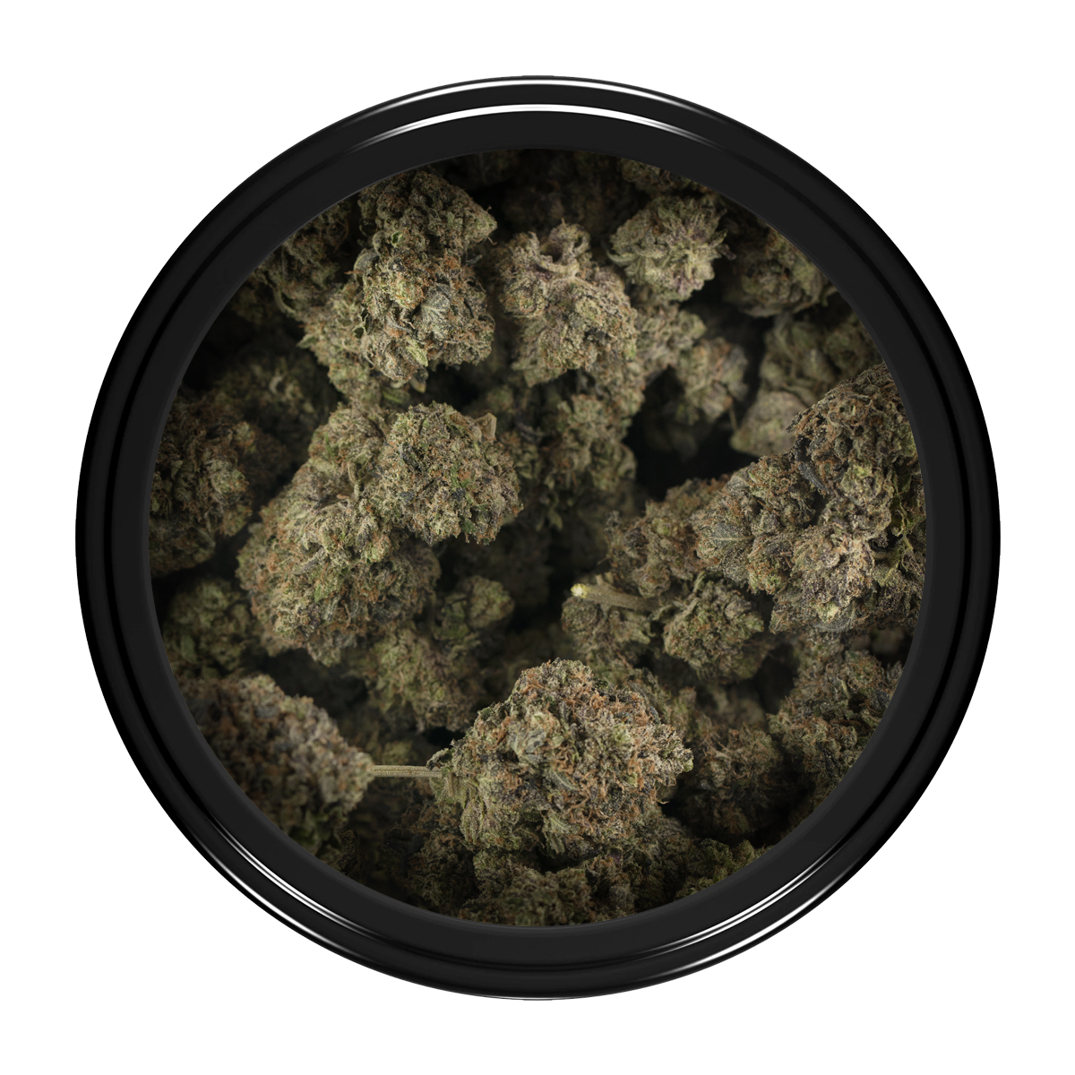 Buy Black Tuna Kush Strain Online Green Society