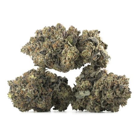 Buy Black Tuna Kush Strain Online Green Society