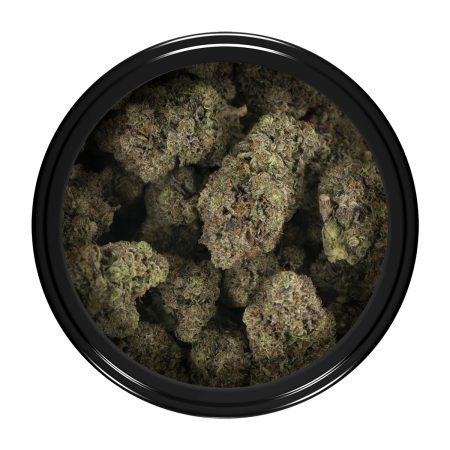 Buy Blue Fin Tuna Strain Online Green Society