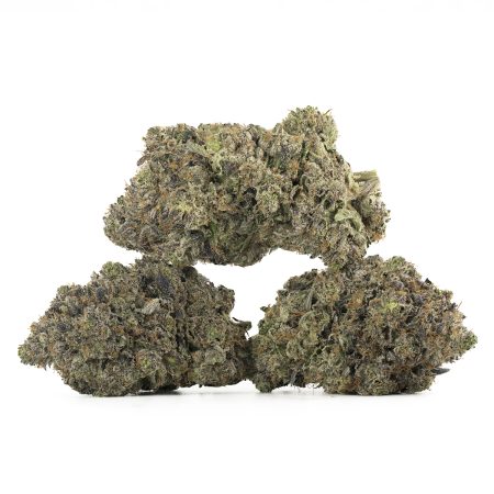 Buy Blue Fin Tuna Strain Online Green Society