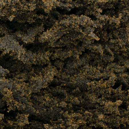 Buy Charas Temple Hash Coins Online Green Society