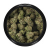 Buy Darth Vader OG Strain Online Green Society