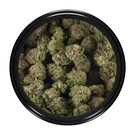 Buy Darth Vader OG Strain Online Green Society