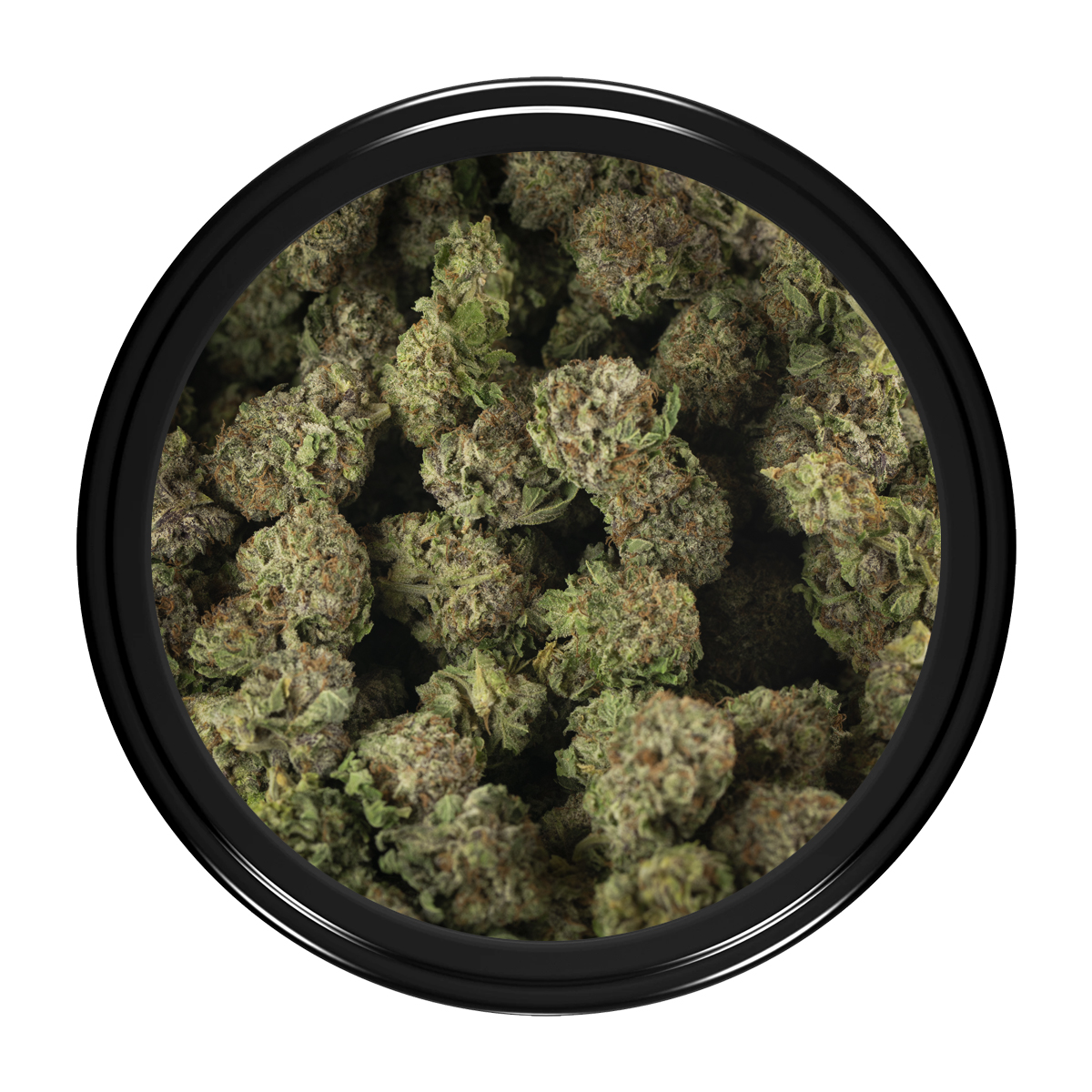 Buy Darth Vader OG Strain Online Green Society